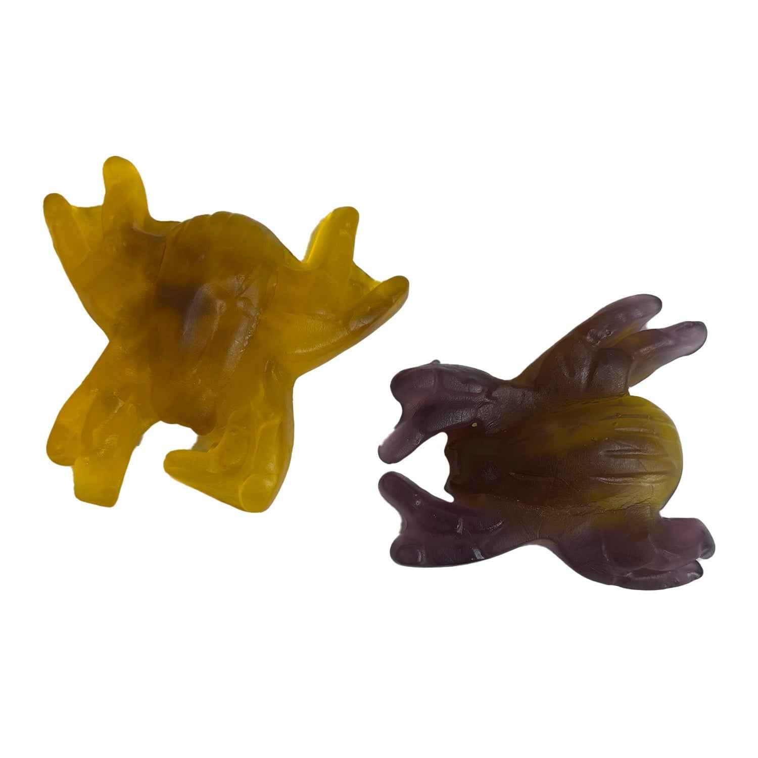 Damel Winegum Spinnen XL