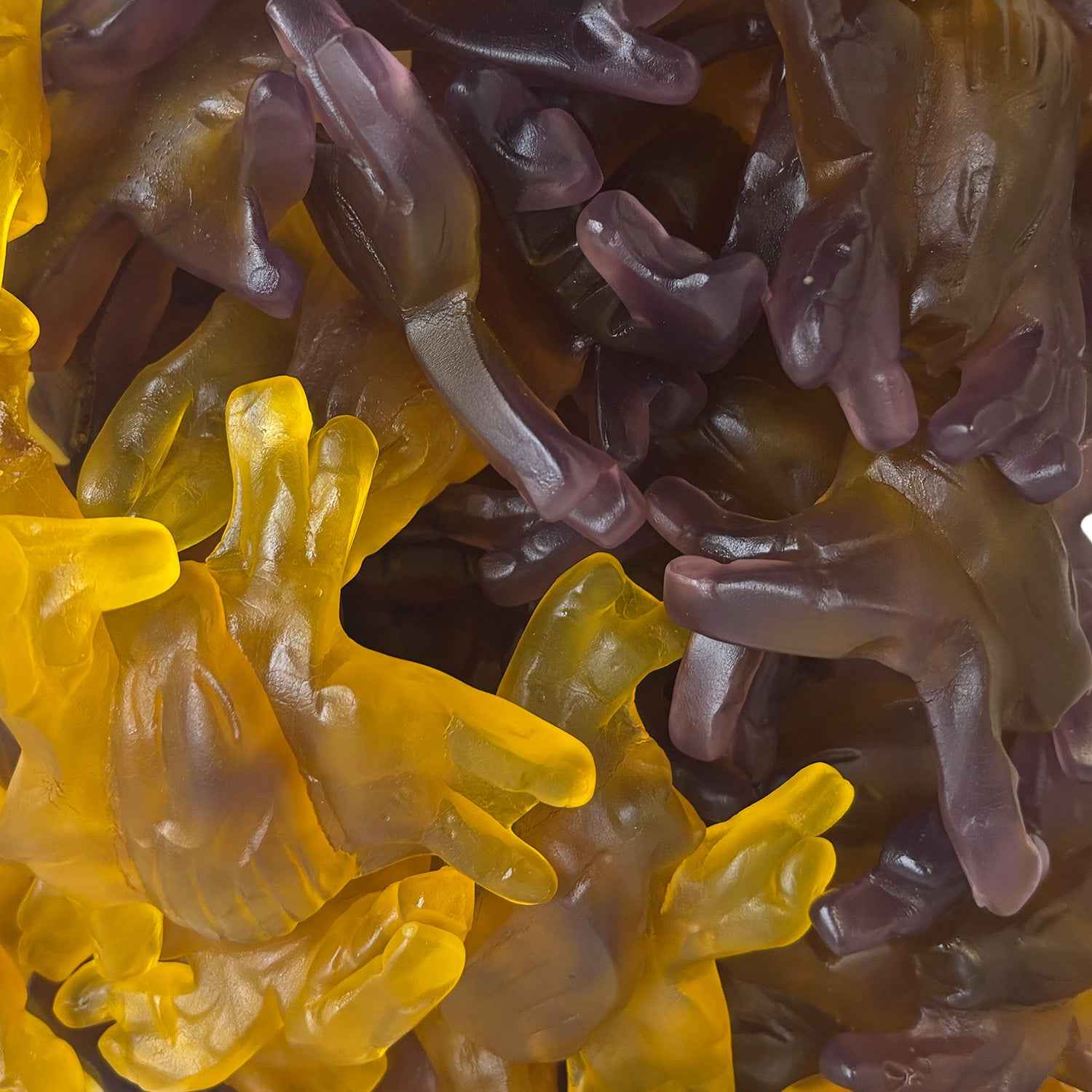 Damel Winegum Spinnen XL