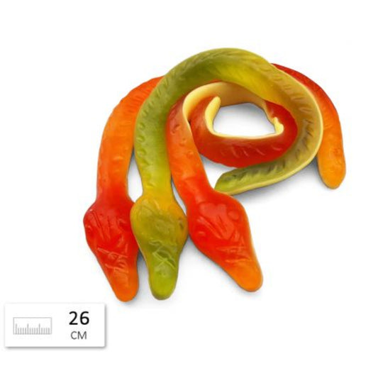 Vidal Giant Snakes